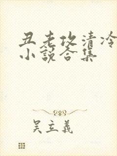 丑老攻清冷美人小说合集