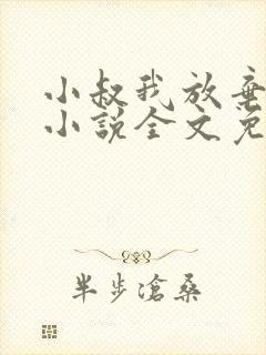 小叔我放弃你了小说全文免费阅读