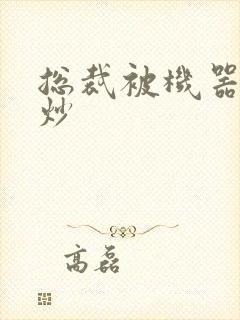 总裁被机器人爆炒封面