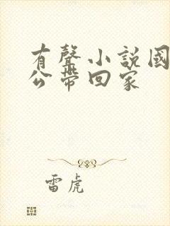 有声小说国民老公带回家