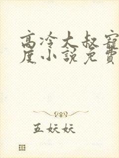 高冷大叔宠妻无度小说免费阅读