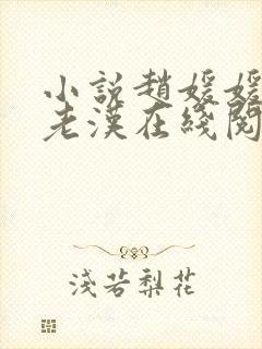 小说赵媛媛与王老汉在线阅读