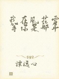 我在风花雪月里等你是哪年的小说封面