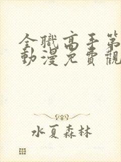 全职高手第3季动漫免费观看