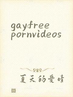 gayfreepornvideos