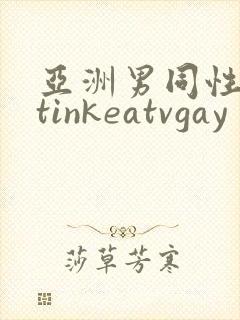 亚洲男同性恋wtinkeatvgay