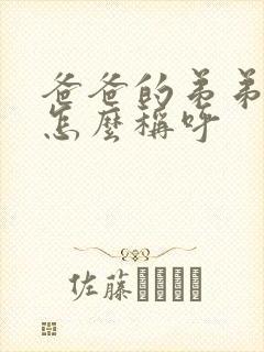 爸爸的弟弟老婆怎么称呼