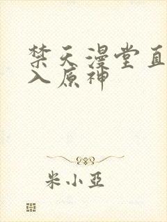 禁天漫堂直接进入原神