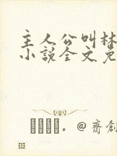 主人公叫林默的小说全文免费封面