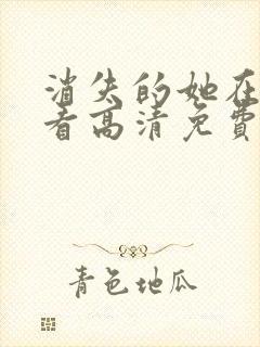 消失的她在线观看高清免费完整版