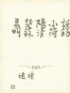 易楚阳小说女主叫苏清荷的小说名字