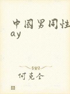 中国男同性恋gay