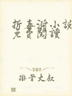 折春漪小说全文免费阅读