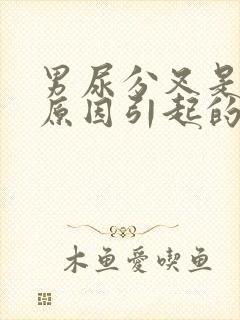 男尿分叉是什么原因引起的