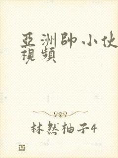 亚洲帅小伙gv视频