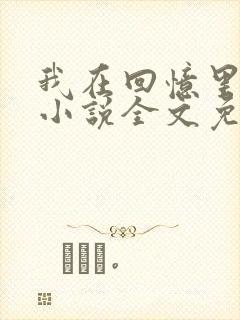 我在回忆里等你小说全文免费阅读