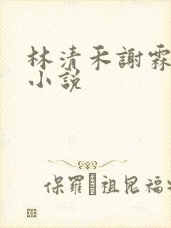 林清禾谢霖川的小说