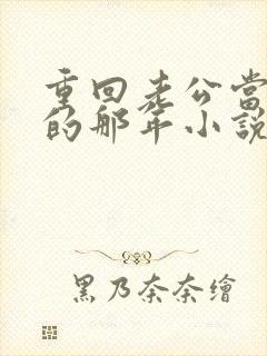 重回老公当校草的那年小说免费封面