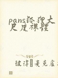 pans狐狸大尺度裸体