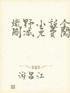 炽野小说全文无删减免费阅读封面