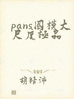 pans国模大尺度极品