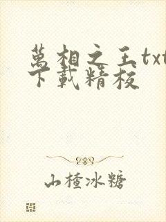 万相之王txt下载精校
