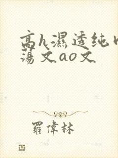 高h湿透纯肉放荡文ao文