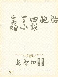 生了四胞胎的军婚小说封面