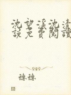 沈望溪沈清若小说免费阅读最新章节封面