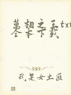 万相之王txt全本下载