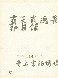 霸天武魂最新章节目录