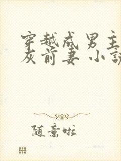 穿越成男主的炮灰前妻 小说