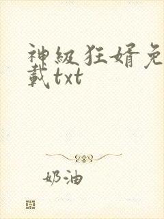 神级狂婿免费下载txt