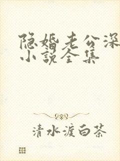 隐婚老公深夜来小说全集