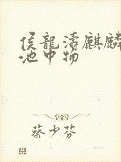 侯龙涛麒麟岂是池中物封面