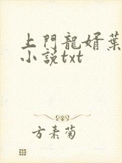 上门龙婿叶辰 小说txt