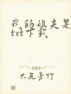 我的姐夫是太子txt下载封面