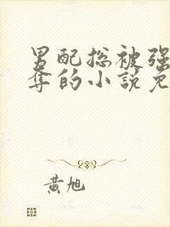 男配总被强取豪夺的小说免费阅读