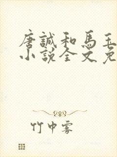 唐诚和马玉婷的小说全文免费