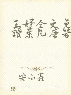 王婿全文免费阅读叶凡唐若雪封面