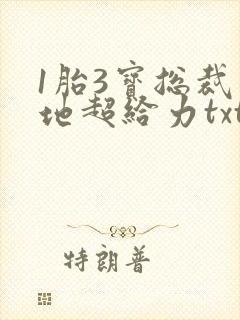 1胎3宝总裁爹地超给力txt