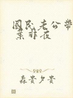 国民老公带回家 叶非夜