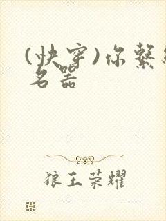 (快穿)你系统名器