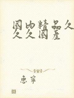 国内精品久久久久久国产