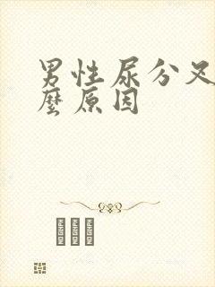 男性尿分叉是什么原因