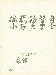 总裁的替身前妻小说免费全文阅读