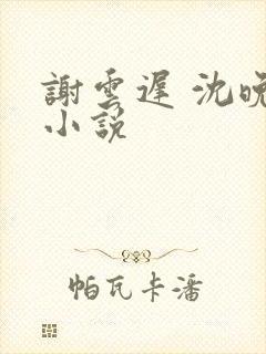 谢云迟 沈晚梨小说