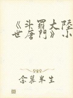 《斗罗大陆2绝世唐门》小说