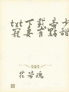 txt下载帝少宠妻有点甜