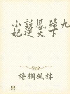 小说凤归九霄狂妃逆天下